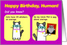Way Above Average Birthday - Cat Birthday Card 7 x 5 card