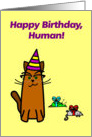 Birthday presents cat cartoon humor card