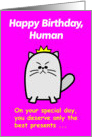 Birthday Presents Cartoon Cat Humor card