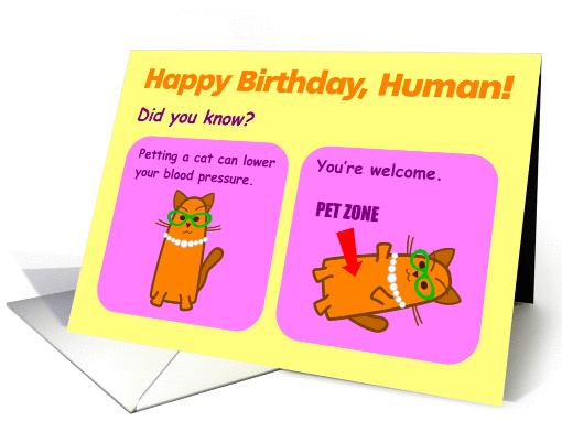 Enjoy the Love on Your Birthday - Cat Birthday Card 7 x 5 card
