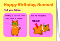Enjoy the Love on Your Birthday - Cat Birthday Card 7 x 5 card
