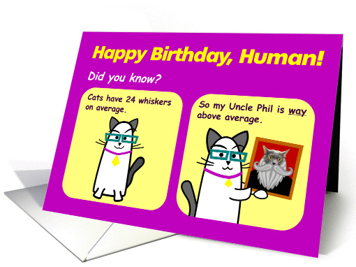 Way Above Average Birthday - Cat Birthday Card 7 x 5 card (1428882)