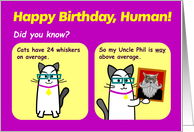 Way Above Average Birthday - Cat Birthday Card 7 x 5 card