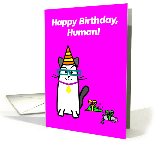 Birthday presents funny cat cartoon card (1431730)