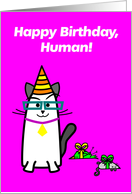 Birthday presents funny cat cartoon card