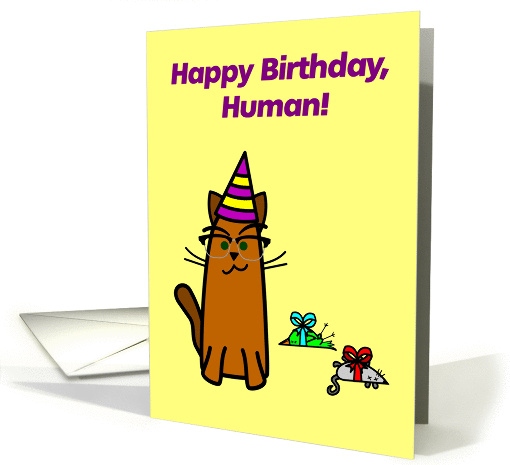 Birthday presents cat cartoon humor card (1431738)