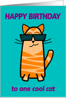 Birthday humor cool cat cartoon card