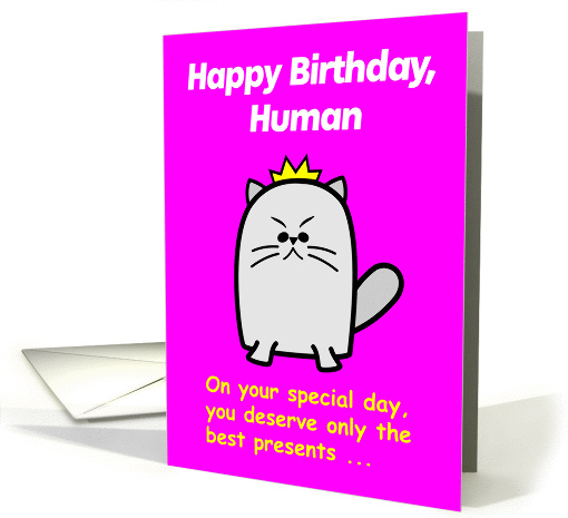 Birthday Presents Cartoon Cat Humor card (1431836)