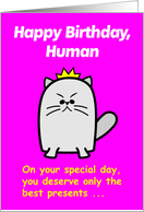Birthday Presents Cartoon Cat Humor card