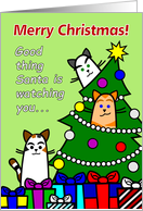 Merry Christmas Card with Funny Cats, Presents, Tree card