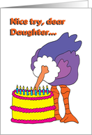 Daughter Birthday -...
