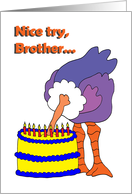 Brother Birthday -...