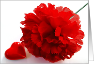 Red Flower & Heart card