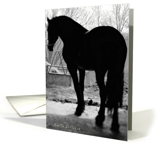 Waiting in the shadow card (49235)