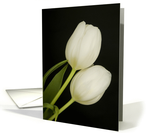 Tulips card (1002259)