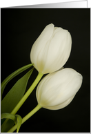 Tulips card