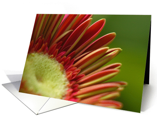 Flowers of spring card (727662)