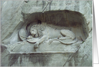 Sleeping Lion card