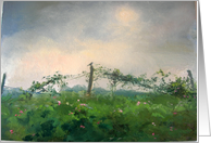 overcast morning card
