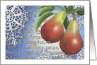 Winter Holiday Pears card