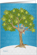 One Partridge In a Pear Tree card