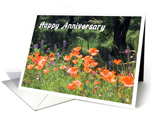 Happy Anniversary card (208736)