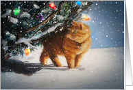 The Christmas Cat card