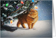 The Christmas Cat