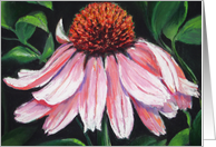 Blooming Coral card