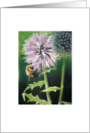 Honey Bee card