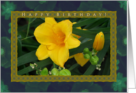 Happy Birthday Yellow Day Lilies card