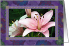 Pink Birthday Lilies card