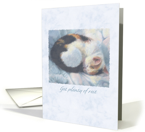 Get Well, Plenty of Rest, Sleeping Cat Illustration card (649843)