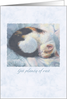 Get Well, Plenty of Rest, Sleeping Cat Illustration card