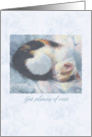 Get Well, Plenty of Rest, Sleeping Cat Illustration card