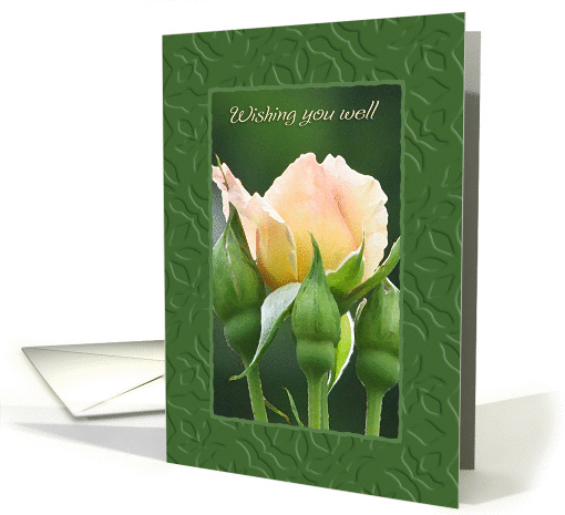 Peach Rose, Wishing You Well card (649872)