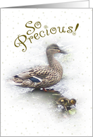New Baby Congratulations, Precious Baby Duck card