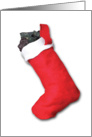 Christmas Stocking 1 card