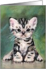 Kitten Cat Watercolor Painting Icansketchu New Pet Start Over card