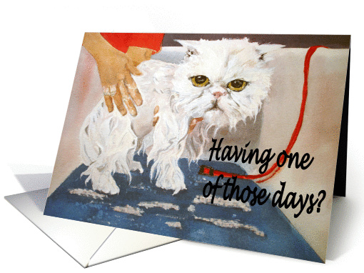 Cat Sympathy Sorry Having a bad day? card (110612)