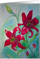 Brilliant Red Lillies Flowers Thinking of You card