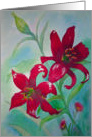 Brilliant Red Lillies Flowers Thinking of You card