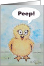 Happy Easter Silly Chick Peep Bird Card Cute card