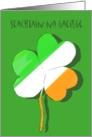 Seachtain na Gaeilge St. Patrick’s Day Greetings Text card