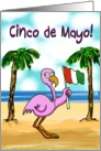 Cinco de mayo Pink Flamingo Paper Card