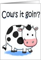 Cow Funny Humor Friendship Miss You Paper Card