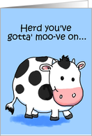 Cow Funny Humor...