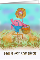 Pink Flamingo Happy Fall Funny Humor Pumpkin Patch Farm Card