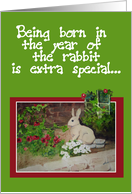 Happy Birthday Year of the Hare Rabbit Watercolor Rabbit card