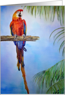 Rainbow Parrot Bird Palm Tree Watercolor Painting Blank Card